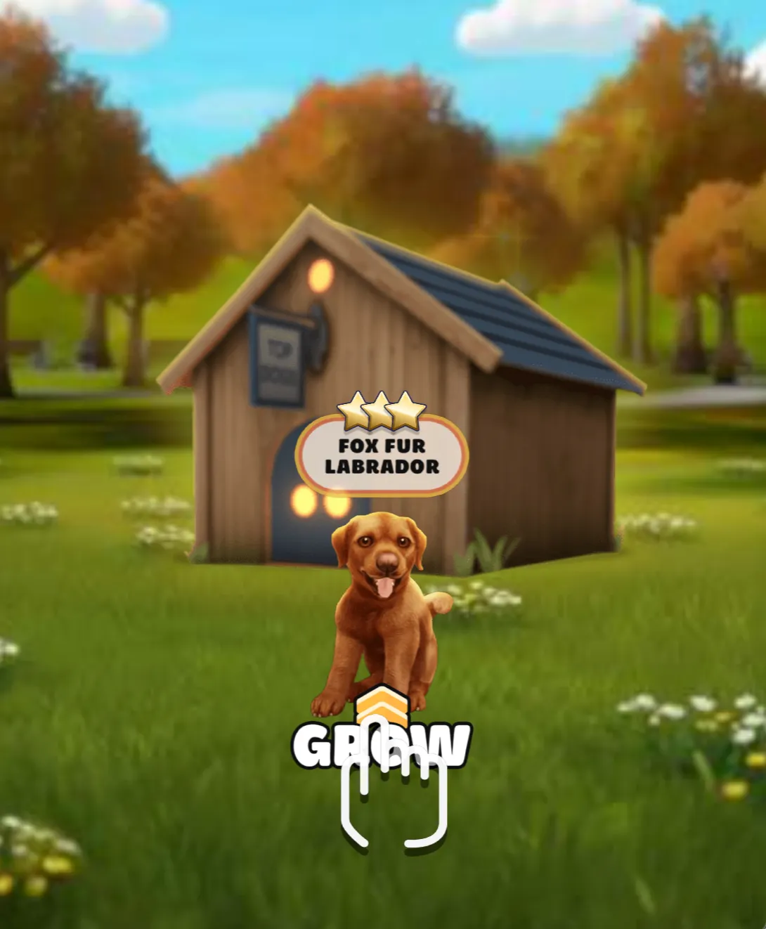 PocketPaws playable ad showing a Labrador puppy growth reward